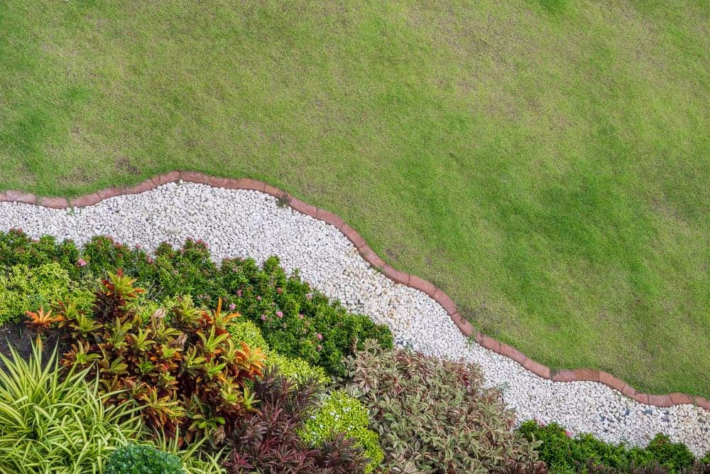 garden border