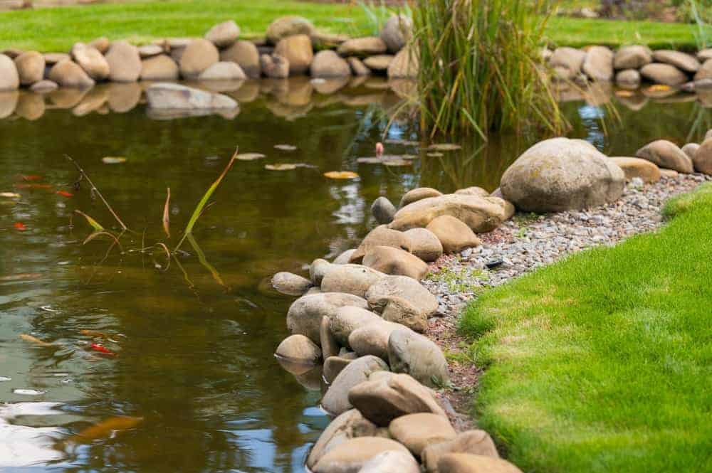 outdoor pond