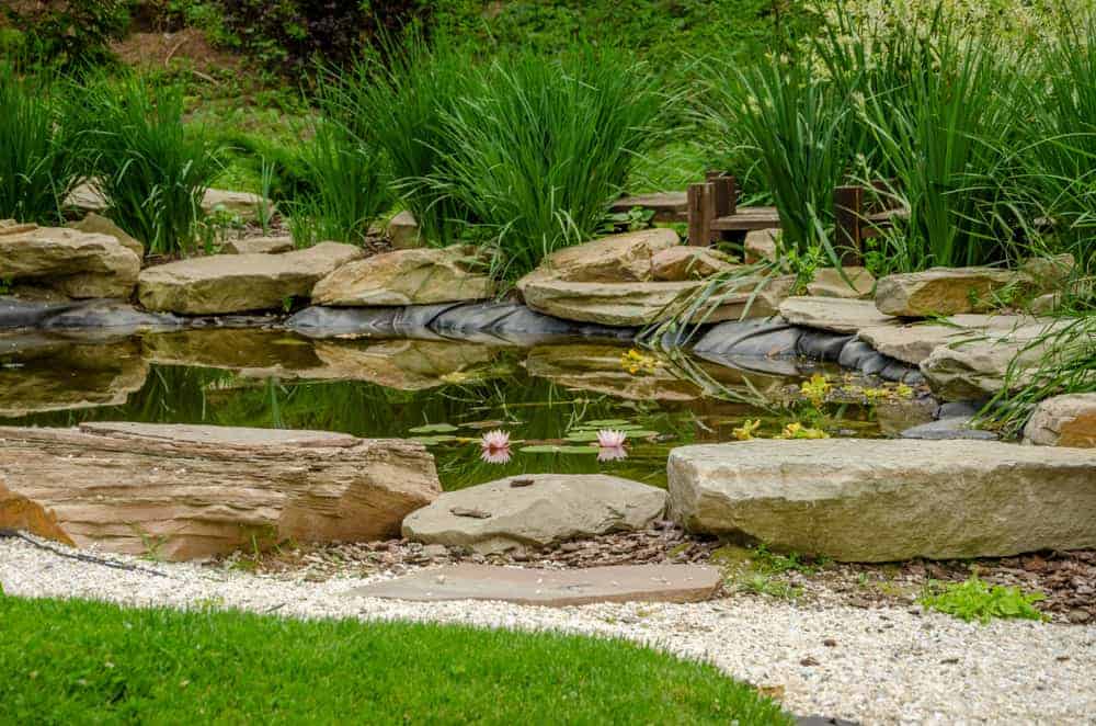 rocks around pond